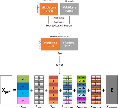 Multivariate Analysis in Microbiome Description: Correlation of Human Gut Protein Degraders, Metabolites, and Predicted Metabolic Functions